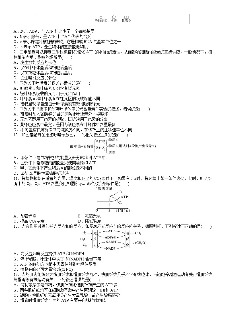 第三章 细胞中能量的转换和利用(原卷版)第2页