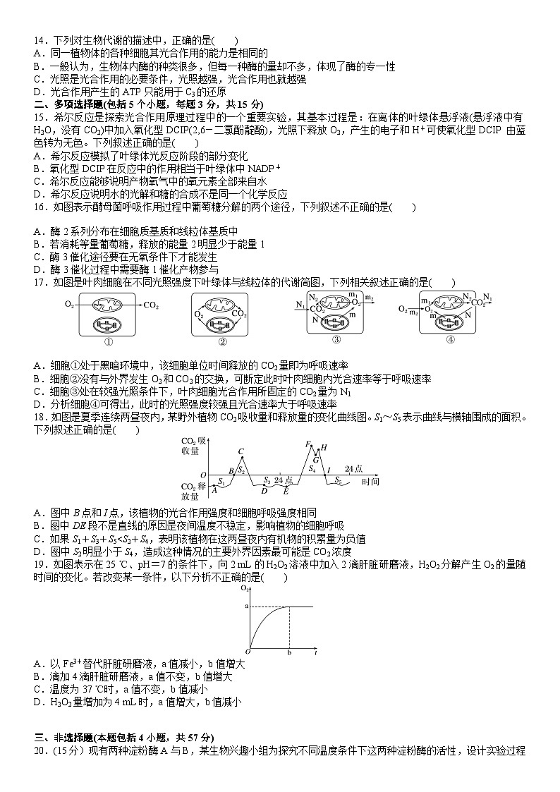 第三章 细胞中能量的转换和利用(原卷版)第3页