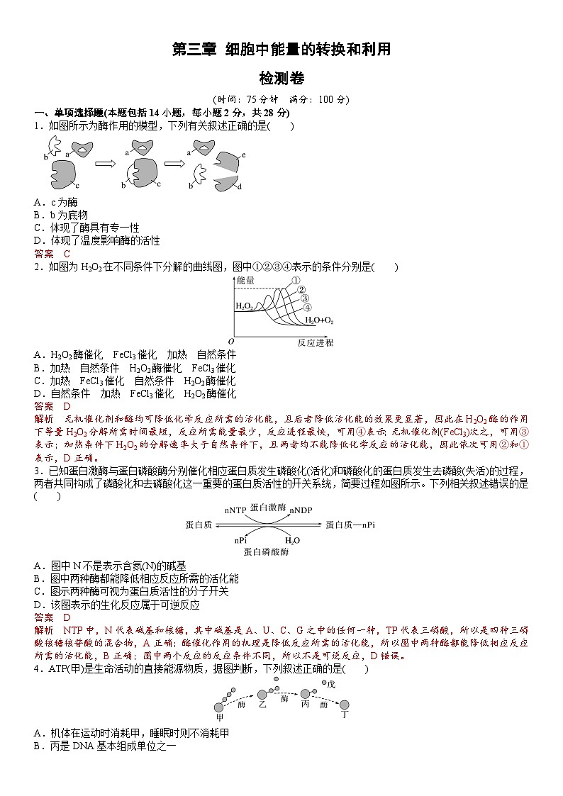 第三章 细胞中能量的转换和利用(解析版)第1页