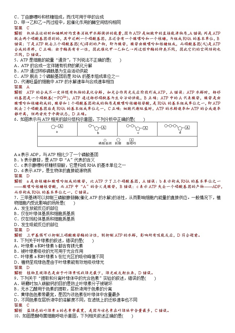 第三章 细胞中能量的转换和利用(解析版)第2页