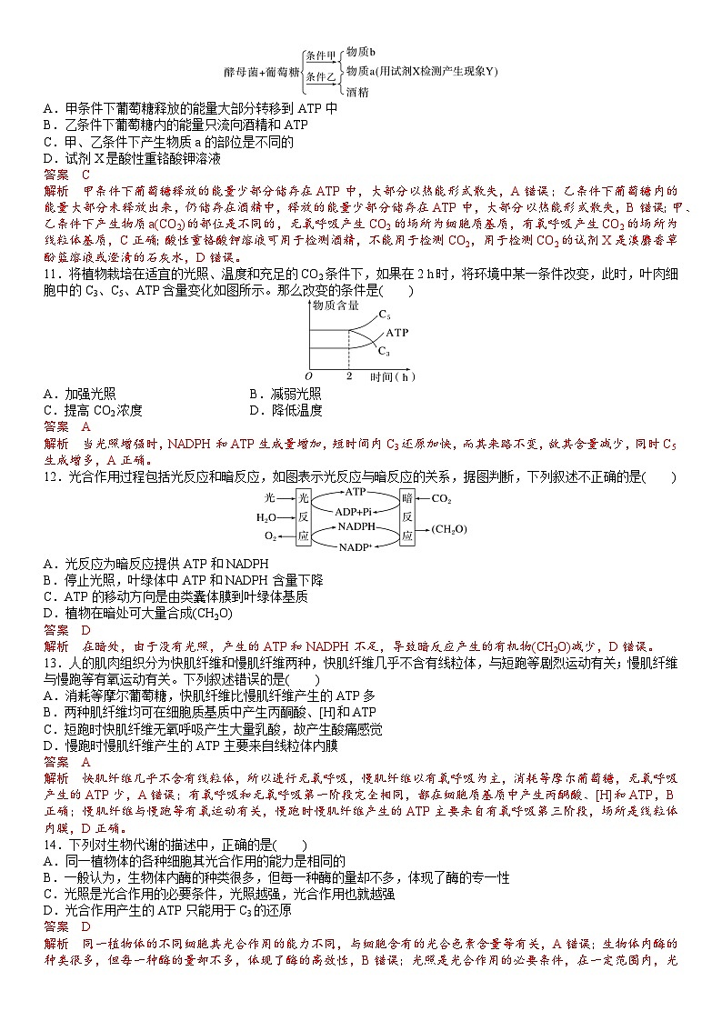 第三章 细胞中能量的转换和利用(解析版)第3页
