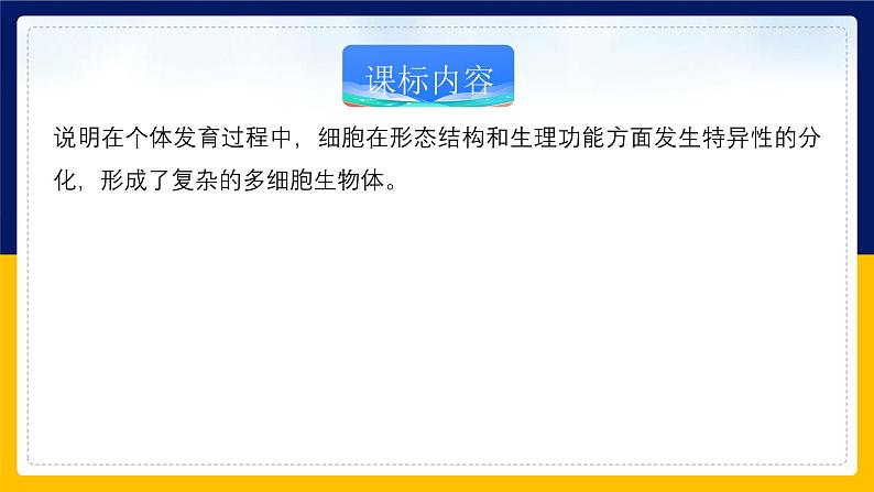 苏教版2019高一生物必修一4.2.1 细胞分化和细胞全能性(课件)02