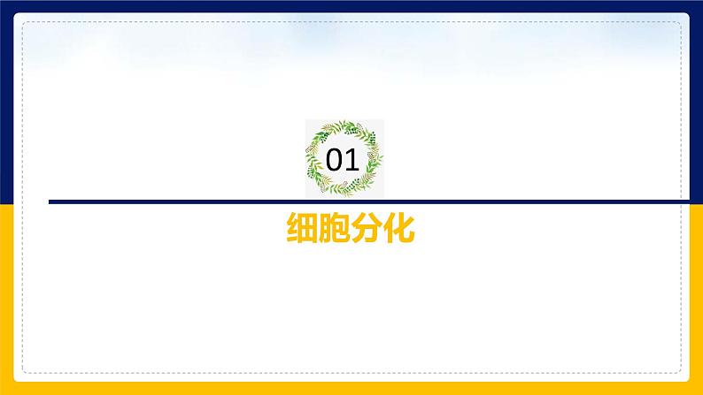 苏教版2019高一生物必修一4.2.1 细胞分化和细胞全能性(课件)04