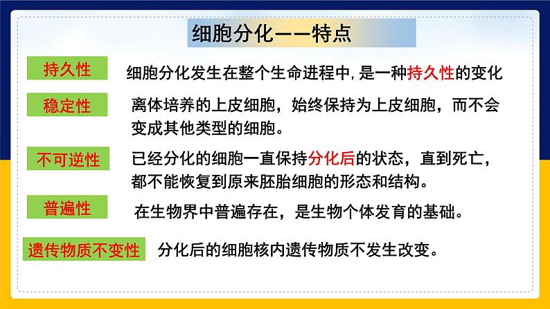 苏教版2019高一生物必修一4.2.1 细胞分化和细胞全能性(课件)07