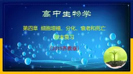 苏教版2019高一生物必修一第四章 细胞增殖、分化、衰老和死亡（单元复习课件）