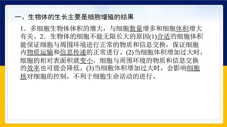 苏教版2019高一生物必修一第四章 细胞增殖、分化、衰老和死亡(单元复习课件)第5页