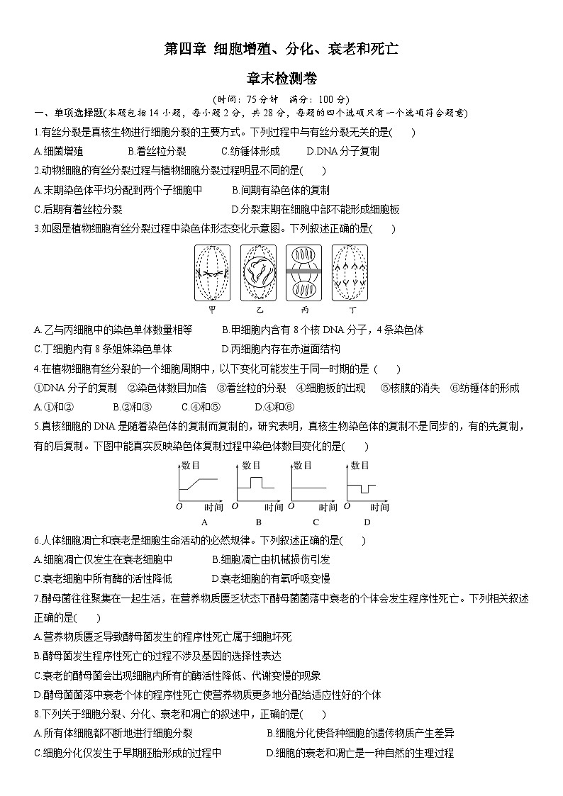 苏教版2019高一生物必修一第四章 细胞增殖、分化、衰老和死亡(单元测试)01