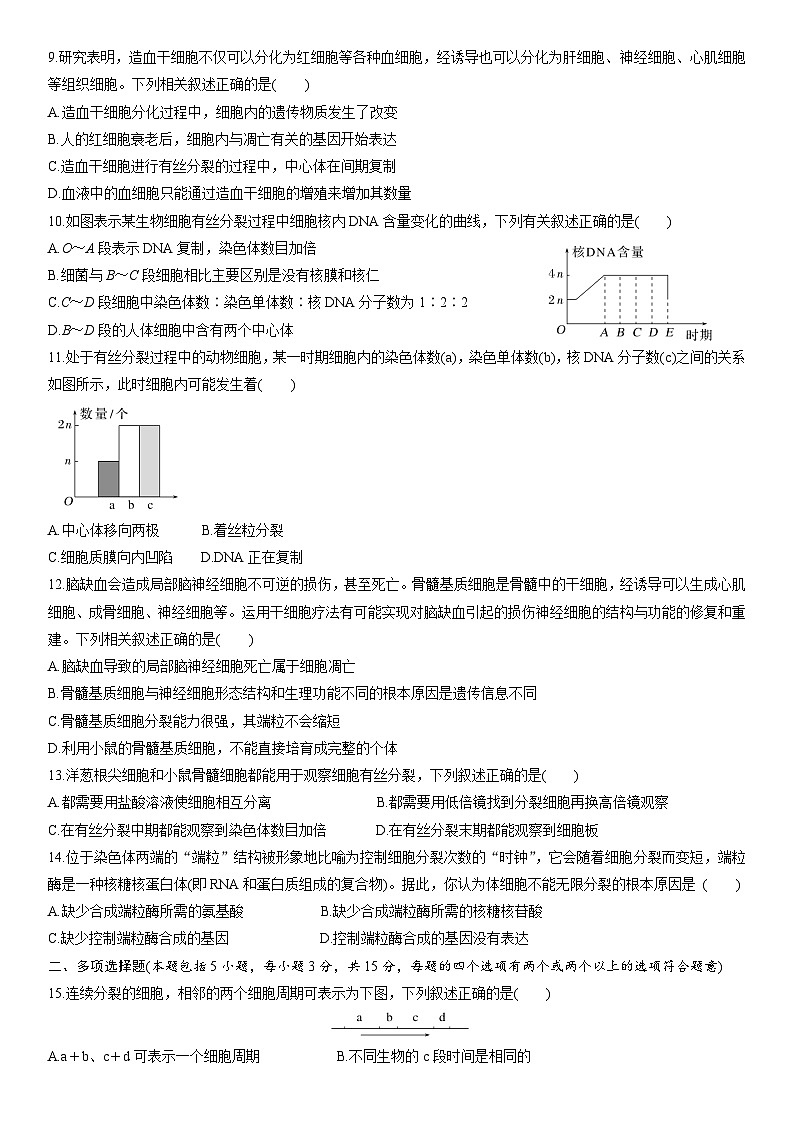 苏教版2019高一生物必修一第四章 细胞增殖、分化、衰老和死亡(单元测试)02