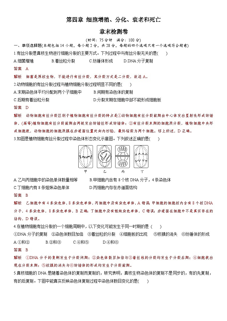 苏教版2019高一生物必修一第四章 细胞增殖、分化、衰老和死亡(单元测试)01