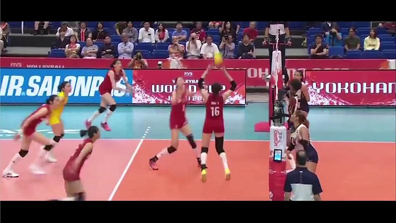 2.1 神经调节的结构基础 课件(人教版2019选必1)第1页
