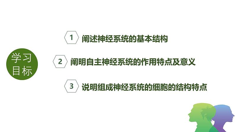 2.1 神经调节的结构基础 课件(人教版2019选必1)第5页