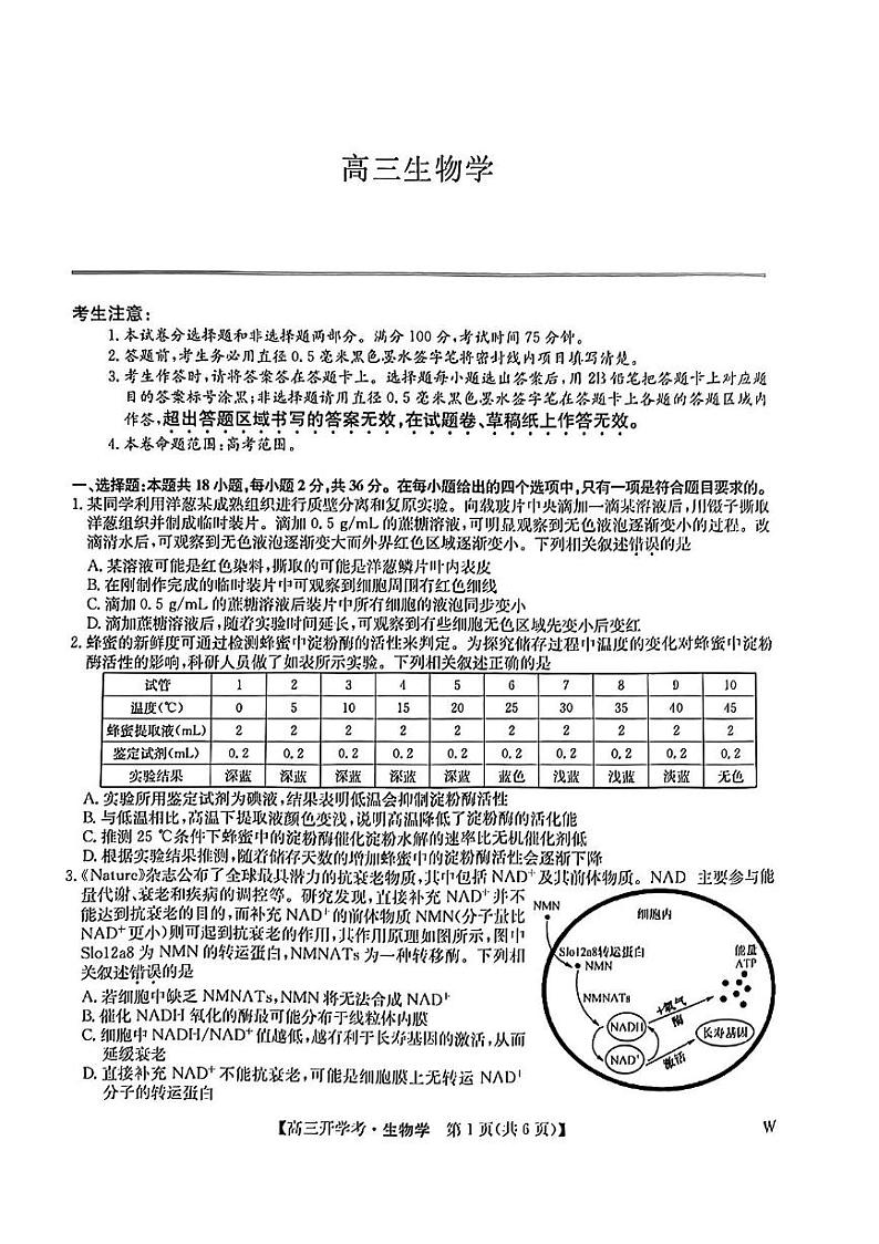 2024-2025学年河南省开封五县联考高三上学期开学考生物试卷及答案01