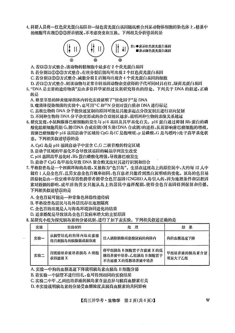 2024-2025学年河南省开封五县联考高三上学期开学考生物试卷及答案02