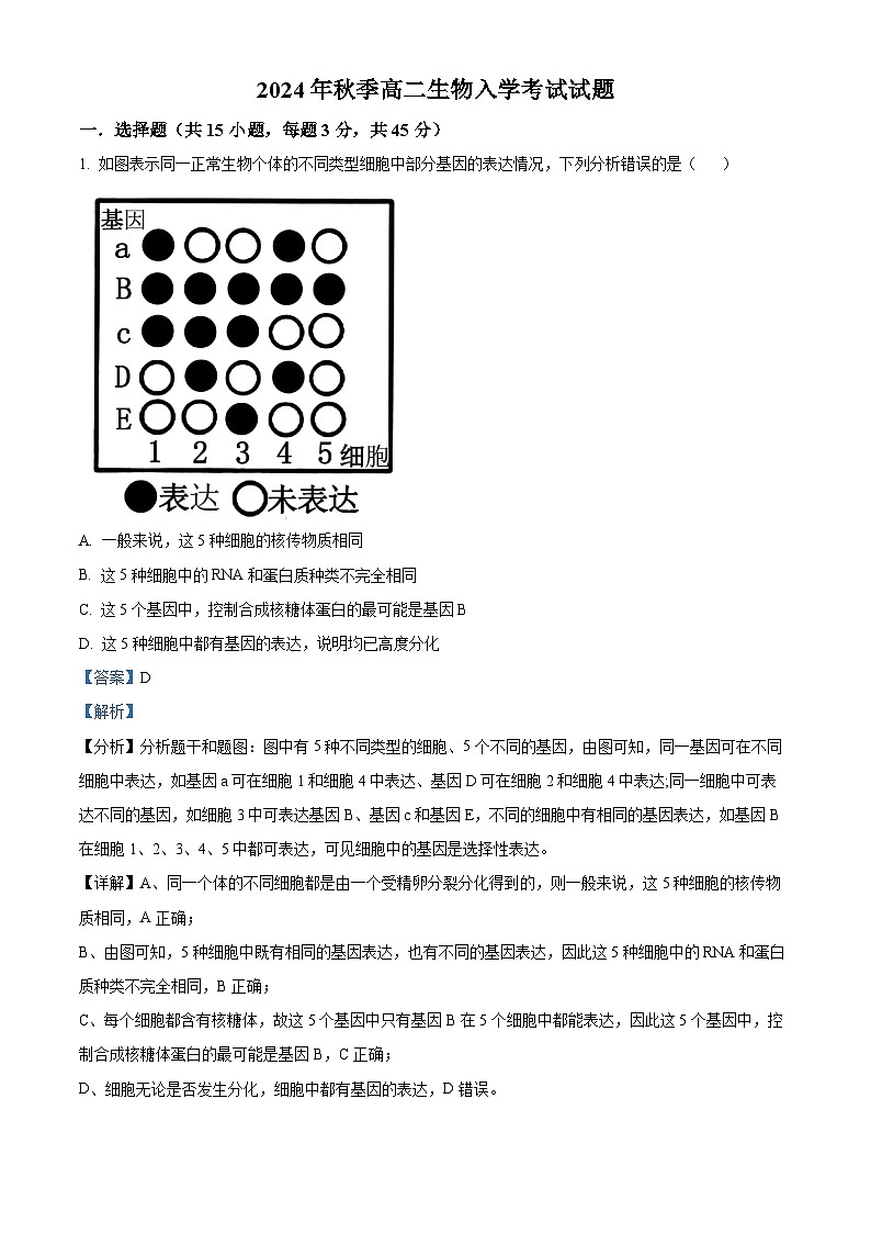 湖南省岳阳县第一中学2024-2025学年高二上学期开学考试生物试题 Word版含解析第1页