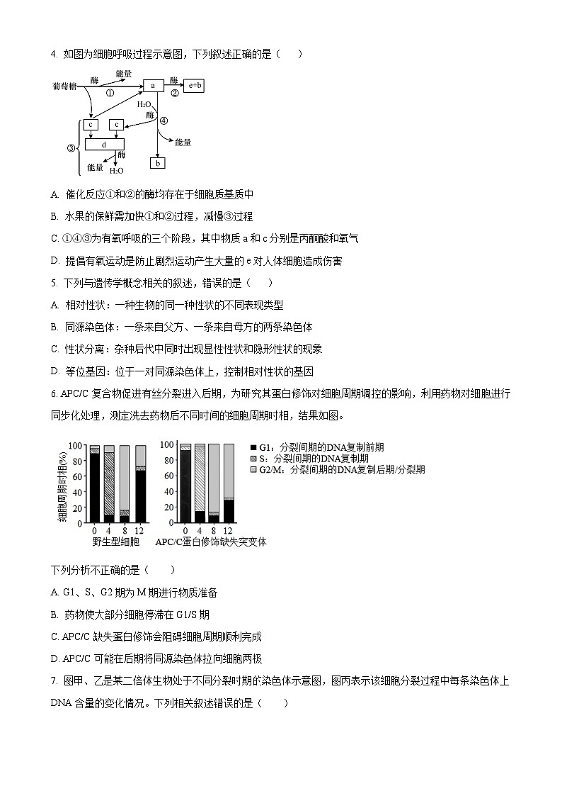 湖南省岳阳县第一中学2024-2025学年高二上学期开学考试生物试题 Word版无答案第2页