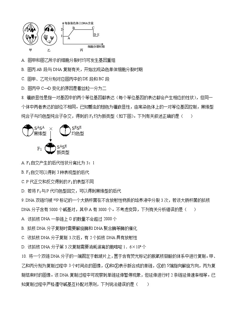 湖南省岳阳县第一中学2024-2025学年高二上学期开学考试生物试题 Word版无答案第3页