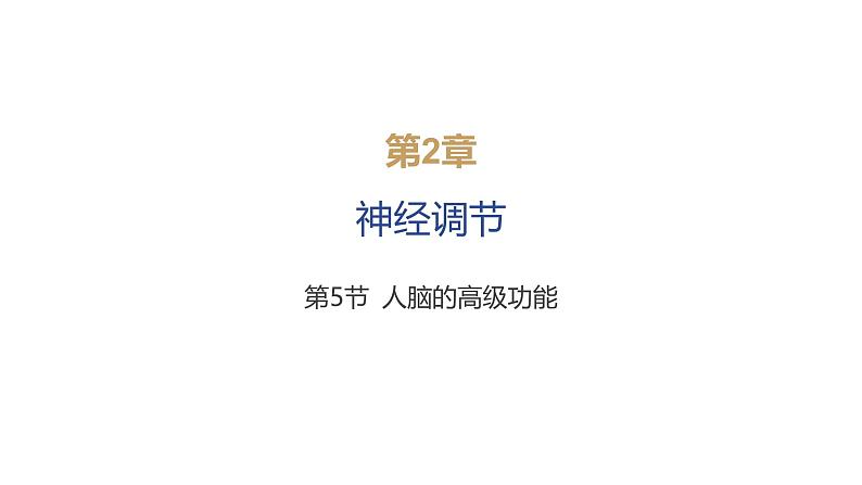 2024-2025学年生物 人教版 选择性必修一 人脑的高级功能 课件01