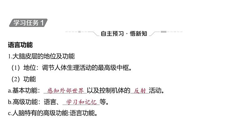 2024-2025学年生物 人教版 选择性必修一 人脑的高级功能 课件04