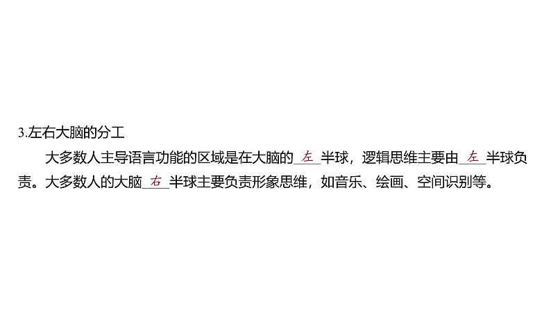 2024-2025学年生物 人教版 选择性必修一 人脑的高级功能 课件06
