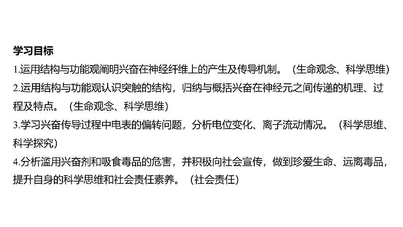2024-2025学年 生物人教版 选择性必修一 神经冲动的产生和传导 课件03