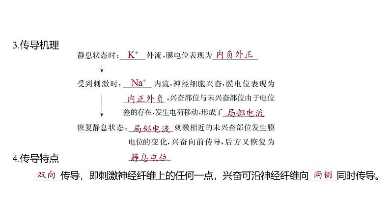 2024-2025学年 生物人教版 选择性必修一 神经冲动的产生和传导 课件06