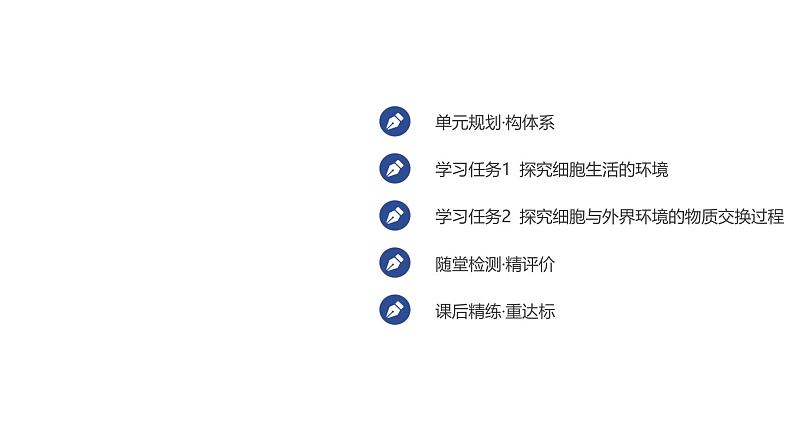 2024-2025学年 生物人教版 选择性必修一 细胞生活的环境 课件07