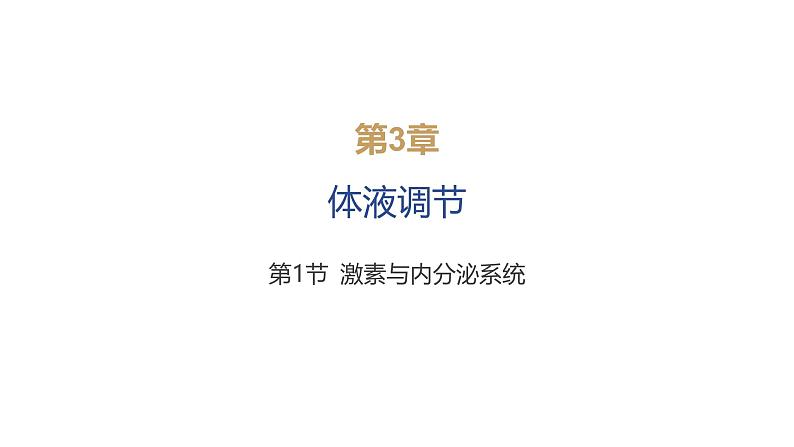 2024-2025学年 生物人教版 选择性必修一 激素与内分泌系统 课件第6页
