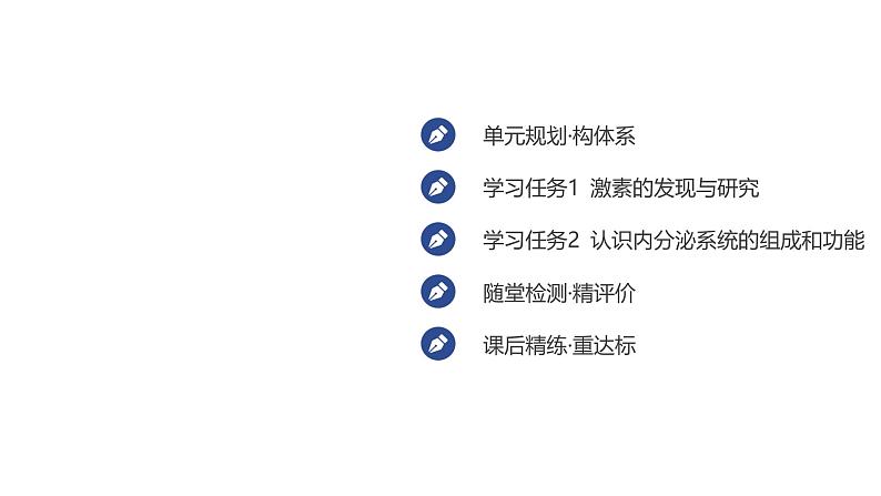 2024-2025学年 生物人教版 选择性必修一 激素与内分泌系统 课件第7页