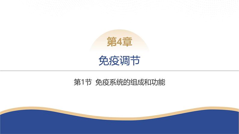 2024-2025学年 生物人教版 选择性必修一 免疫系统的组成和功能 课件第6页