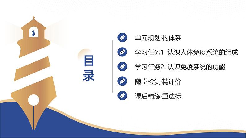 2024-2025学年 生物人教版 选择性必修一 免疫系统的组成和功能 课件第7页