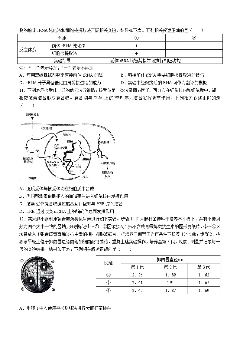 福建省泉州市2024-2025学年高三上学期8月开学考试生物试题(Word版附答案)第3页