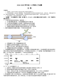 河南省安阳市林州市第一中学2024-2025高三上学期8月月考生物试题(Word版附解析)