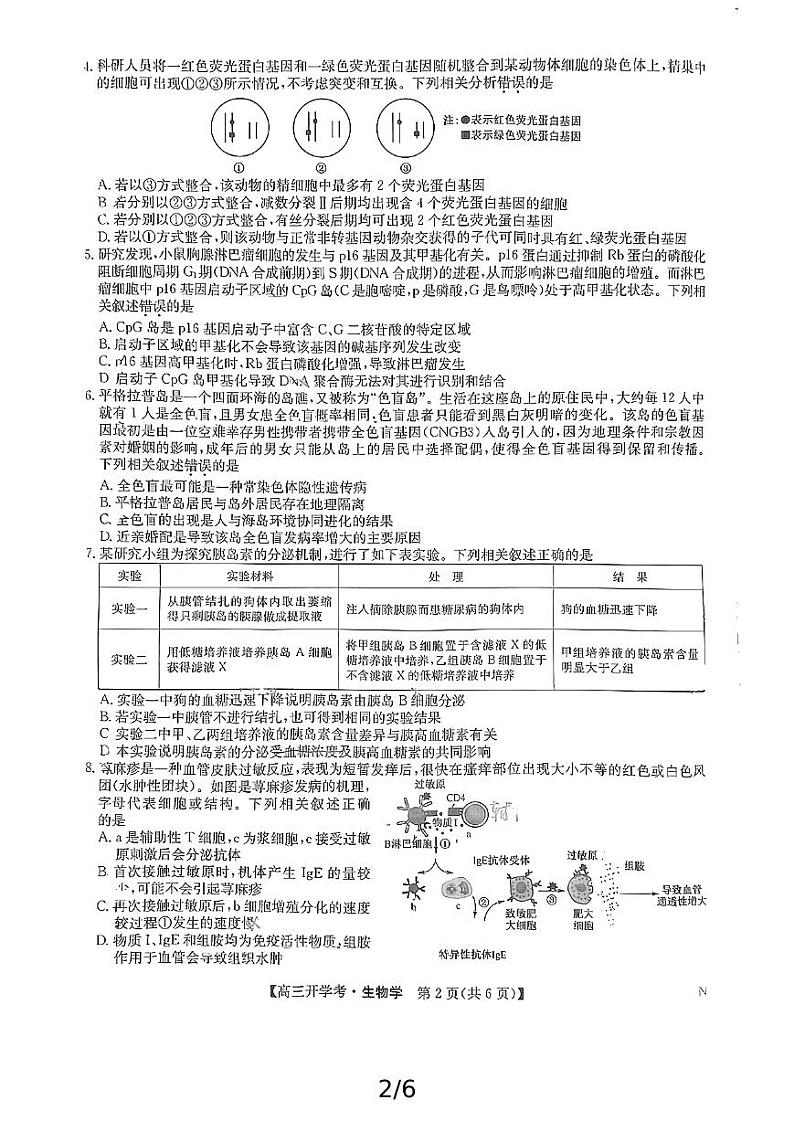 九师联盟联考2025届高三上学期开学考试(江西,河南,山西等)生物试题(PDF版附解析)第2页