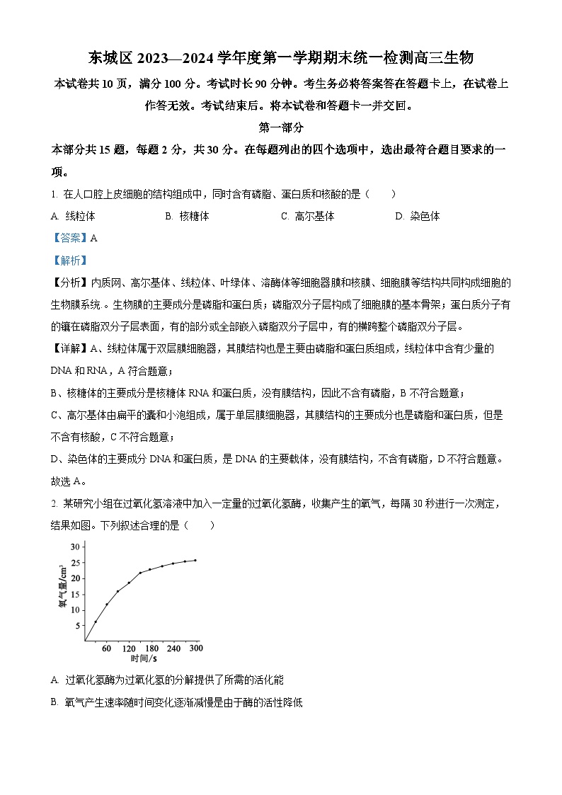 北京市东城区2023-2024学年高三上学期期末考试生物试卷（Word版附解析）