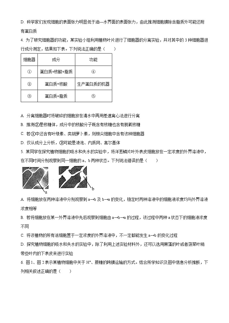 四川省成都市蓉城名校2024-2025学年高三上学期入学考试生物试题02