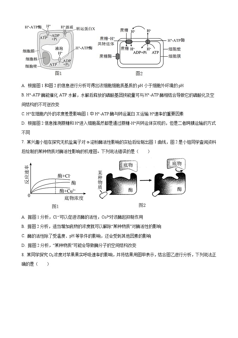 四川省成都市蓉城名校2024-2025学年高三上学期入学考试生物试题03
