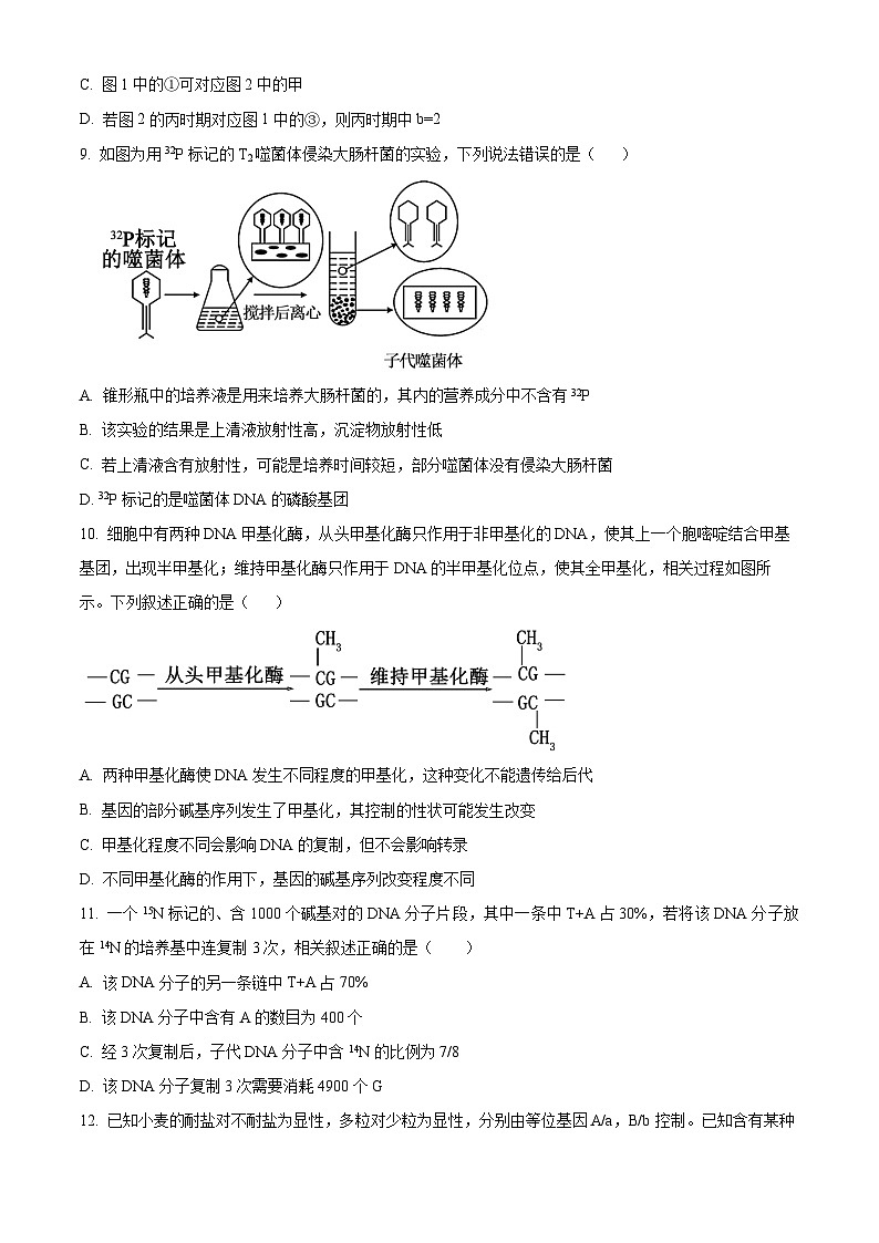 河北省衡水市故城县郑口中学2024-2025学年高二上学期开学考试生物试题(原卷版)03
