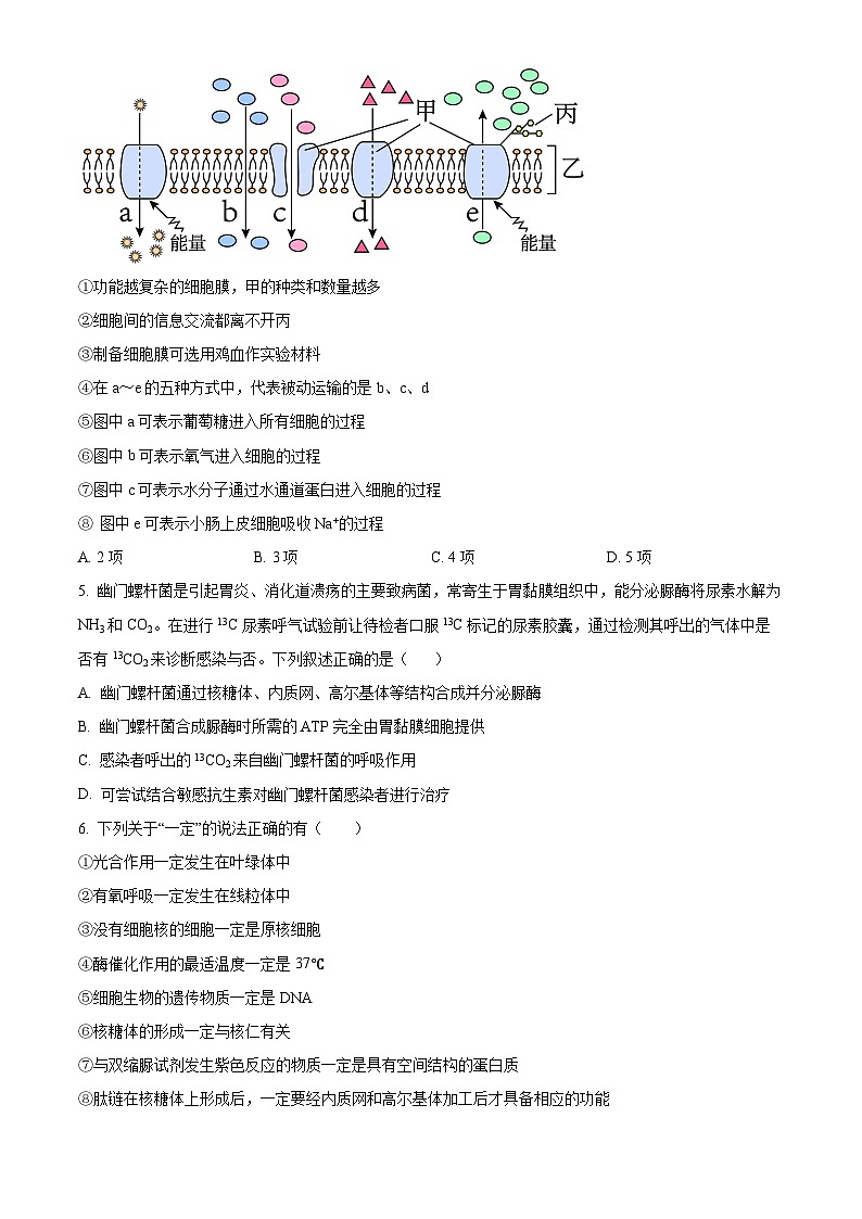 安徽省阜阳市临泉县第一中学2024-2025学年高二上学期开学考试生物试题(原卷版)第2页