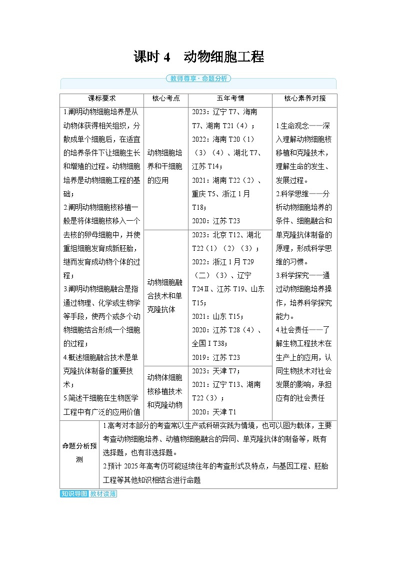 2025年高考生物精品教案第十一章生物技术与工程课时4动物细胞工程01