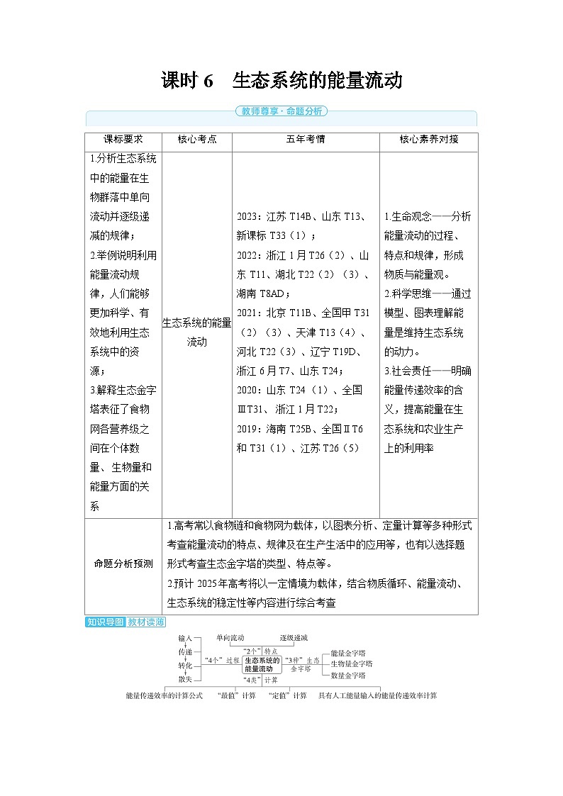 2025年高考生物精品教案第十章生物与环境课时6生态系统的能量流动第1页