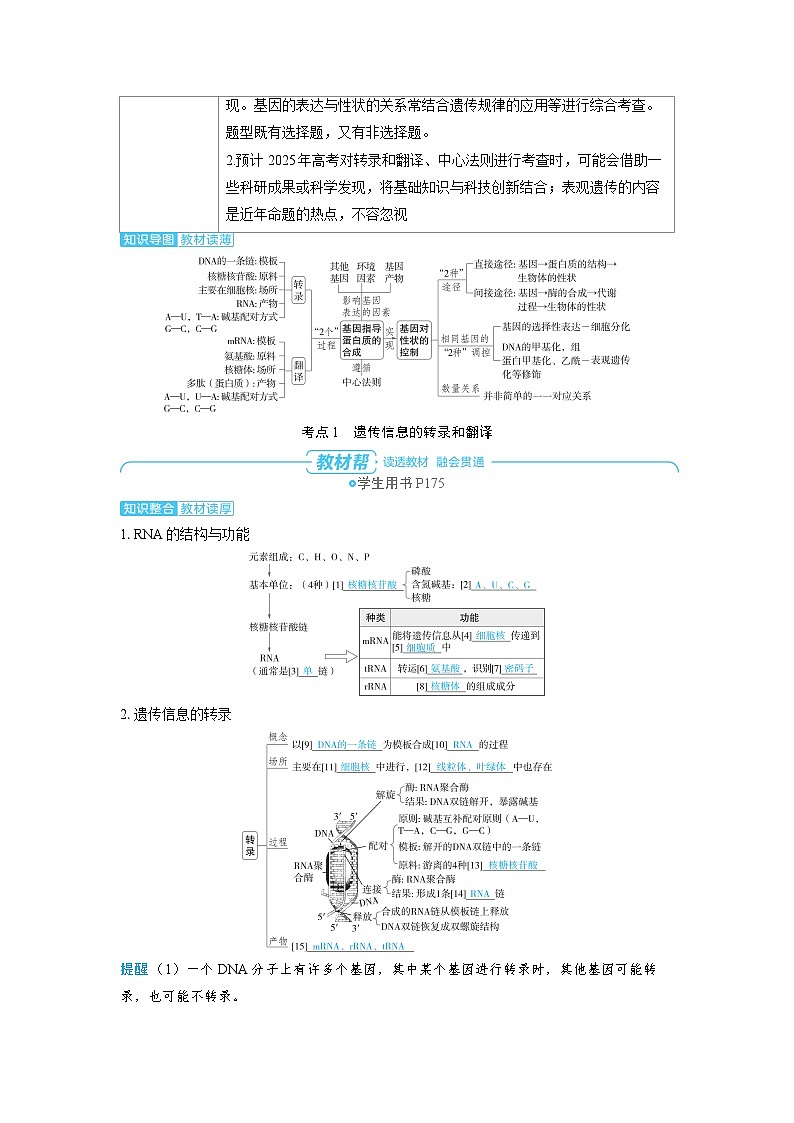 2025年高考生物精品教案第六章遗传的分子基础课时3基因的表达第2页