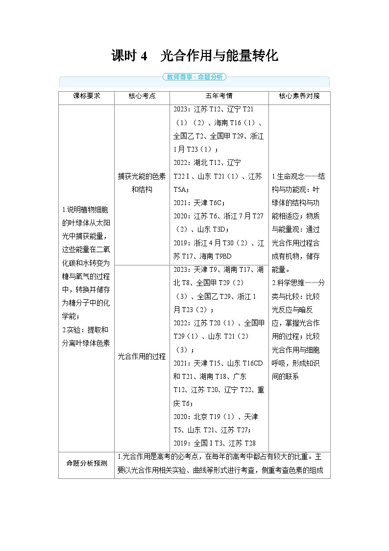 2025年高考生物精品教案第三章细胞代谢课时4光合作用与能量转化第1页