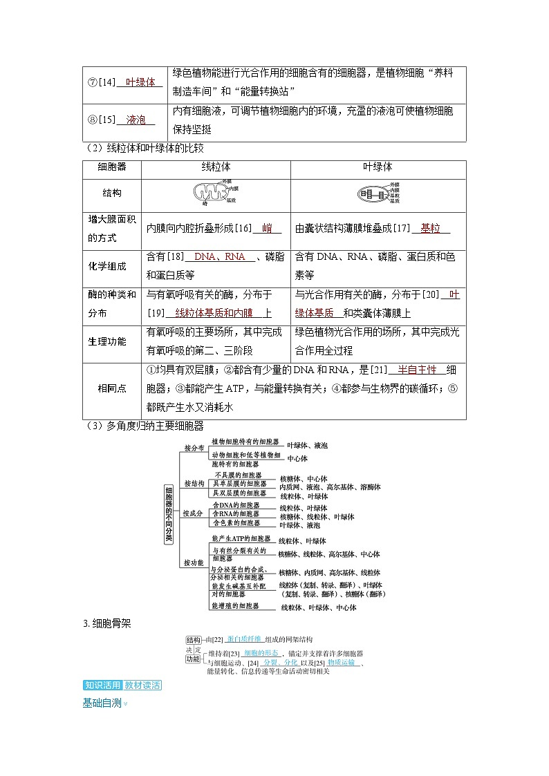 2025年高考生物精品教案第二章细胞的基本结构和物质的运输课时2细胞器和生物膜系统03