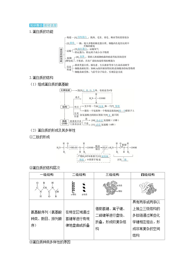 2025年高考生物精品教案第一章细胞的概述与分子组成课时3蛋白质和核酸第2页