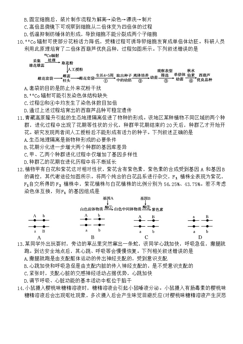 广西名校联盟2024-2025学年高二上学期入学考试生物试题03