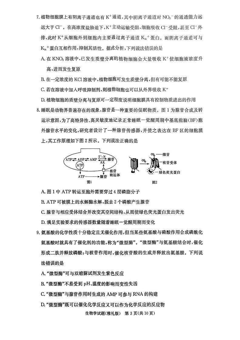 湖南省长沙市雅礼中学2024-2025学年高三上学期月考(一)生物03