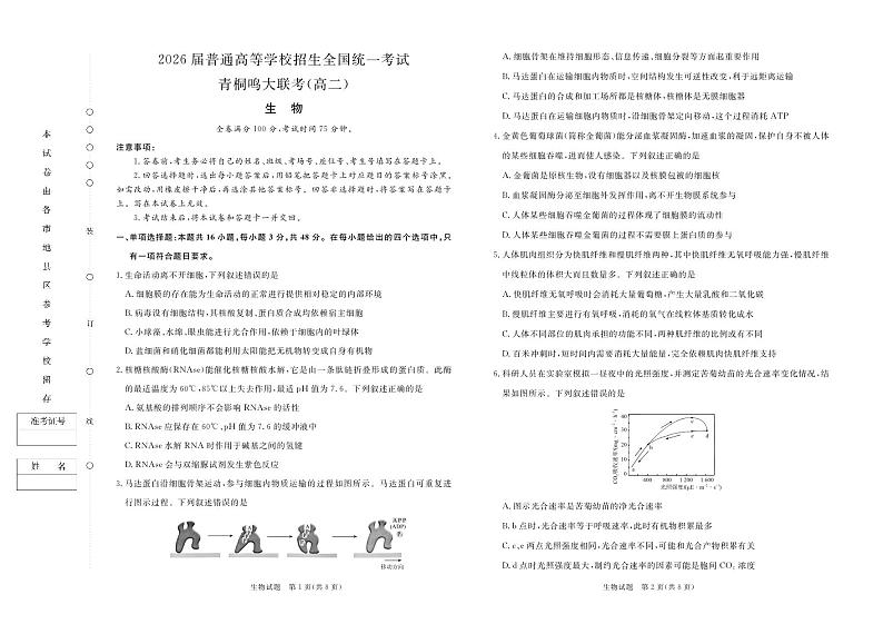 2024-2025学年河南省青桐鸣高二上学期9月联考生物试卷及答案01