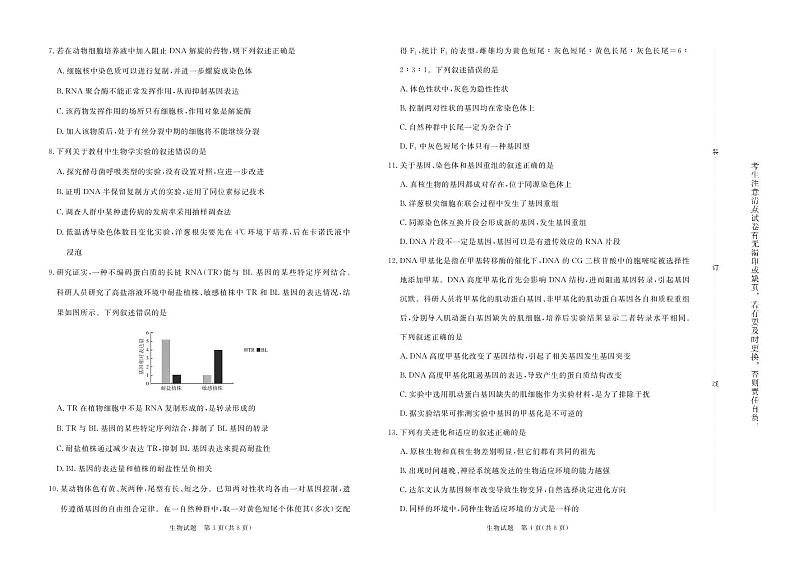 2024-2025学年河南省青桐鸣高二上学期9月联考生物试卷及答案02