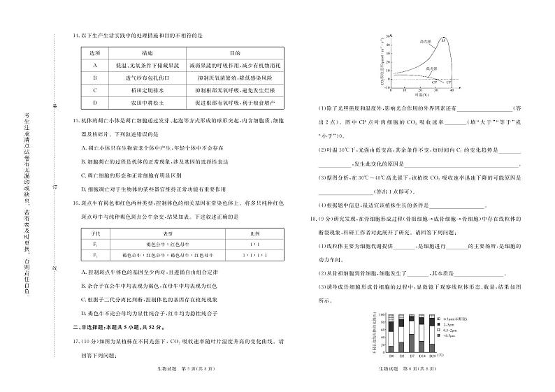 2024-2025学年河南省青桐鸣高二上学期9月联考生物试卷及答案03