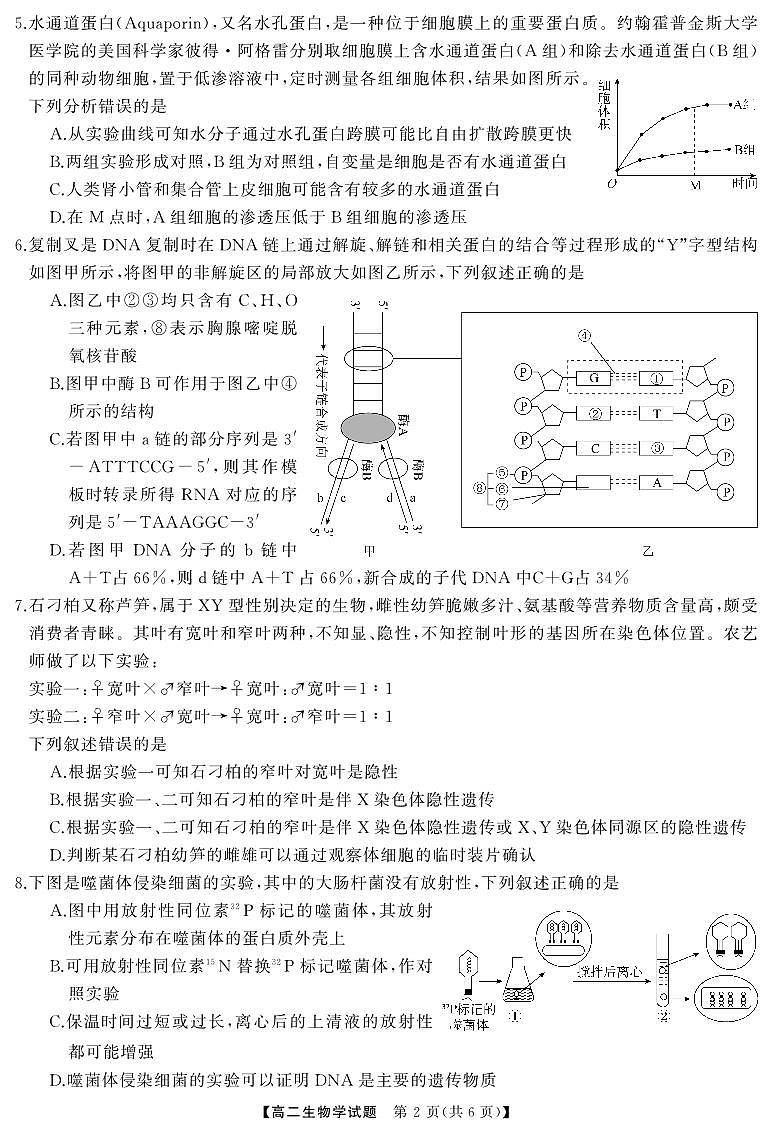 湖南省名校联盟2024-2025学年高二上学期入学考试生物试题第2页